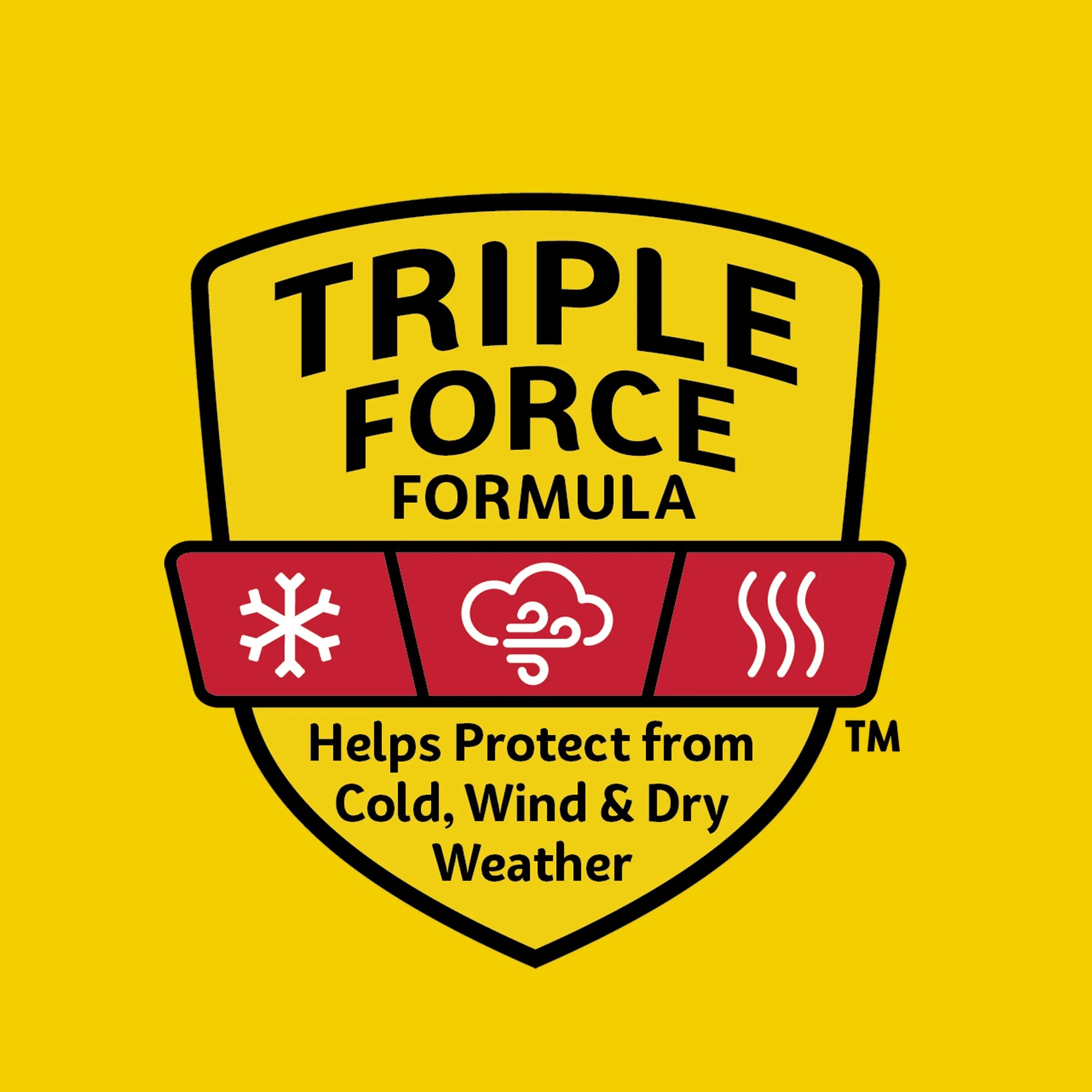 (2 Pack)  Classic Medicated Lip Balm Jars, Lip Protectant, 0.25 Oz Each, 3 Count