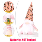 Bring Home the Magic: The Light-Up Holiday Gnome