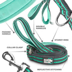 Heavy Duty Dog Leash for Medium and Large Dogs - 5 Ft Long Double Handle Dog Leash with Padded Traffic Control Handles - Reflective, Durable, and Weather Resistant (Aqua and Gray)