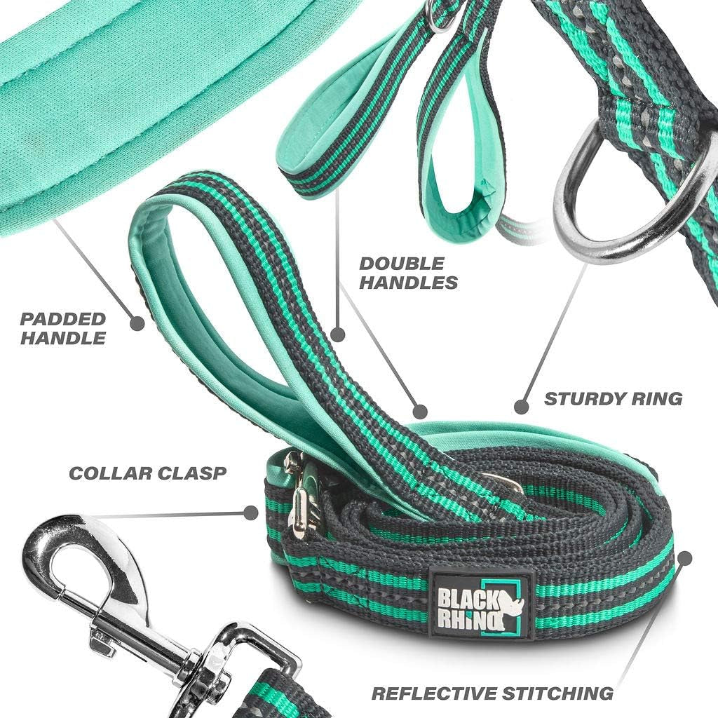 Heavy Duty Dog Leash for Medium and Large Dogs - 5 Ft Long Double Handle Dog Leash with Padded Traffic Control Handles - Reflective, Durable, and Weather Resistant (Aqua and Gray)