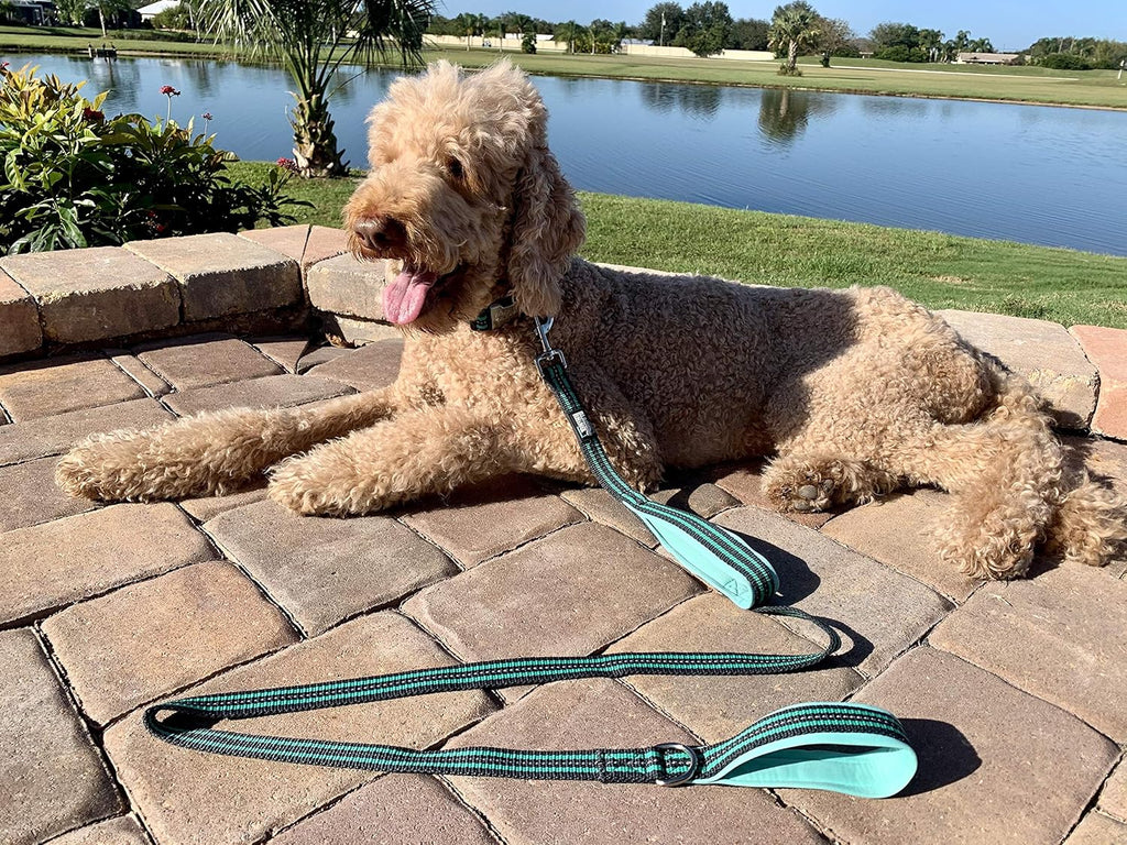 Heavy Duty Dog Leash for Medium and Large Dogs - 5 Ft Long Double Handle Dog Leash with Padded Traffic Control Handles - Reflective, Durable, and Weather Resistant (Aqua and Gray)