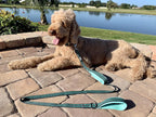 Heavy Duty Dog Leash for Medium and Large Dogs - 5 Ft Long Double Handle Dog Leash with Padded Traffic Control Handles - Reflective, Durable, and Weather Resistant (Aqua and Gray)
