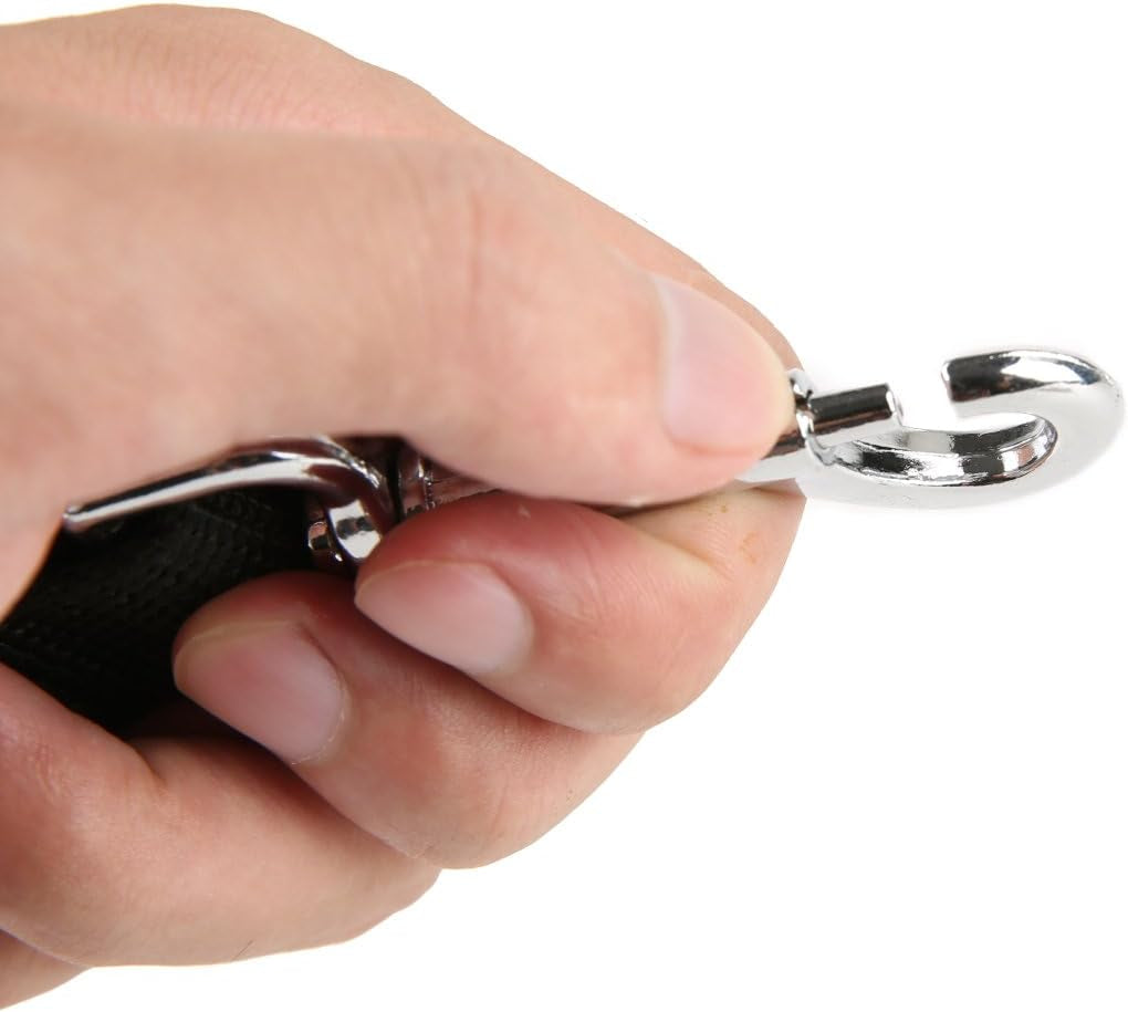 Strong Nylon Dog Leash, for Medium Large Dogs Walking, Training or Exploring, 10 Feet Long 1 Inch Wide