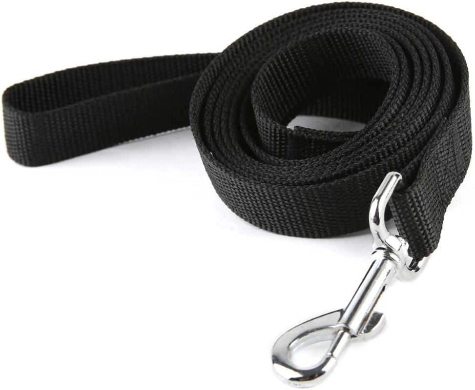 Strong Nylon Dog Leash, for Medium Large Dogs Walking, Training or Exploring, 10 Feet Long 1 Inch Wide
