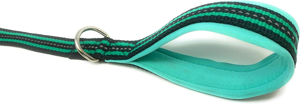 Heavy Duty Dog Leash for Medium and Large Dogs - 5 Ft Long Double Handle Dog Leash with Padded Traffic Control Handles - Reflective, Durable, and Weather Resistant (Aqua and Gray)