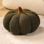 Plush Pumpkin Pillow & Decor 🎃