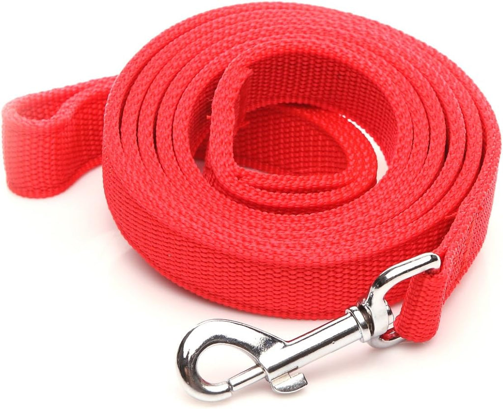 Nylon Dog Leash with 2-Layer, 4 FT/ 6 FT/ 7FT Long, 1 Inch Wide for Medium Large Dogs