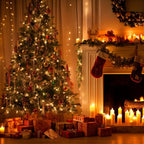 Hoodink 900LED 295FT Christmas Light String, Fairy Light 8 Modes and Timer with Remote Control, Home Garden Yard Christmas Wedding Decoration