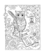 Adult Coloring Books: Animals Creative Haven Owls Coloring Book, (Paperback)
