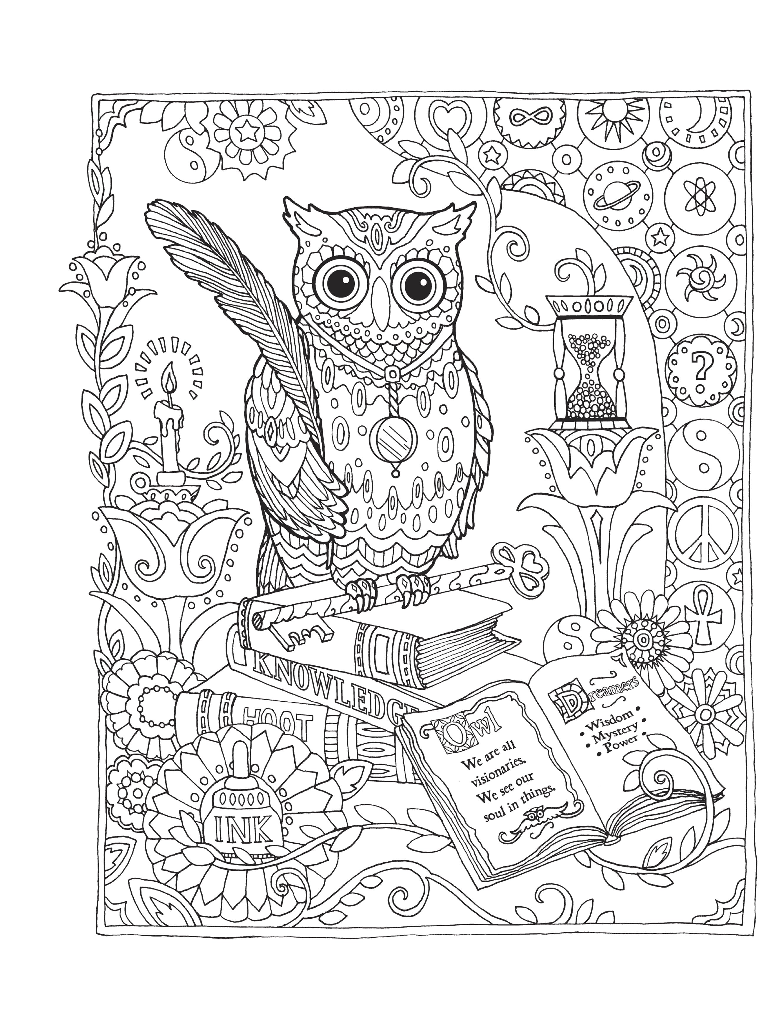 Adult Coloring Books: Animals Creative Haven Owls Coloring Book, (Paperback)